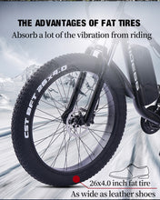 Load image into Gallery viewer, RIDE66 RX02! This electric mountain bike excels in every scenario, from urban commuting to mountain trail adventures. With high-quality components and sophisticated design, we promise a comfortable and safe riding experience.