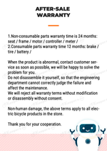 Load image into Gallery viewer, RIDE66 RX02! This electric mountain bike excels in every scenario, from urban commuting to mountain trail adventures. With high-quality components and sophisticated design, we promise a comfortable and safe riding experience.