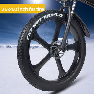 Electric Bike 1000W Lithium Battery Mountain e Bicycle Fat Tire ebike Adults Mens 26 Inch 21 Speed Aluminum Frame R5s